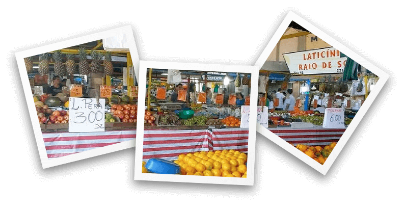 fotos Mercado Municipal